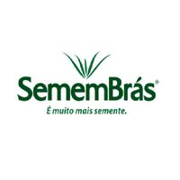 SEM MILHETO SEMB PEN GL BRS1501 S25