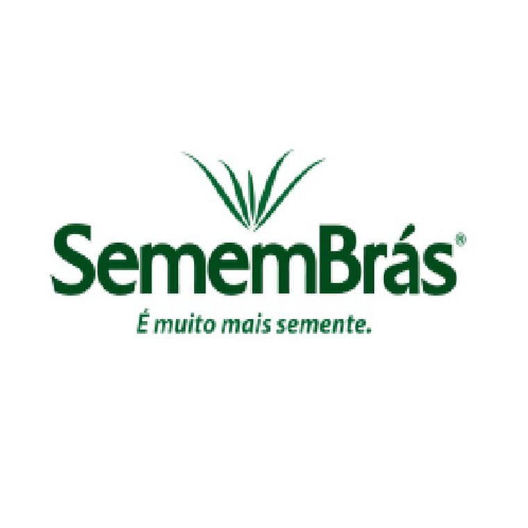 SEM MILHETO SEMB PEN GL BRS1501 S25