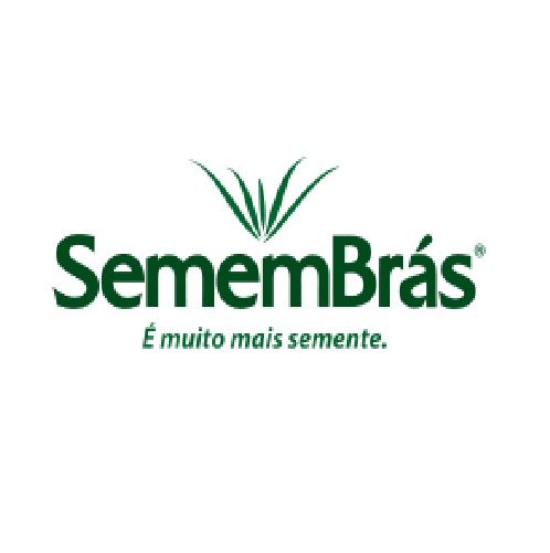 SEM PAST SEMB RUZIZIENSIS NOBRE S10